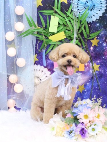 20250703ぽっきーくん